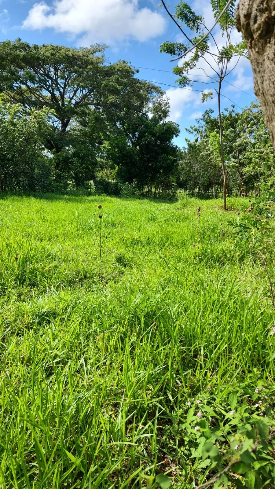 NEW LISTING – LAND AVAILABLE IN SOSÚA, main photo