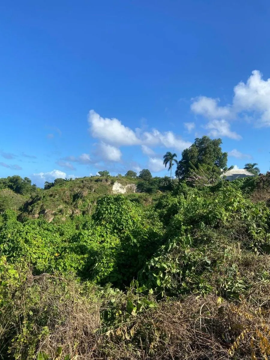 Land for Sale in Río San Juan, Santa Lucía, photo 7