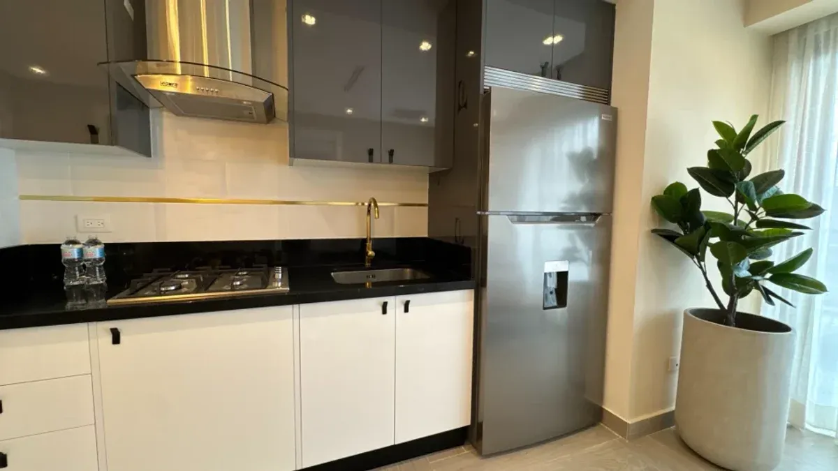 Apartamento amueblado en Ensanche Naco, foto 13