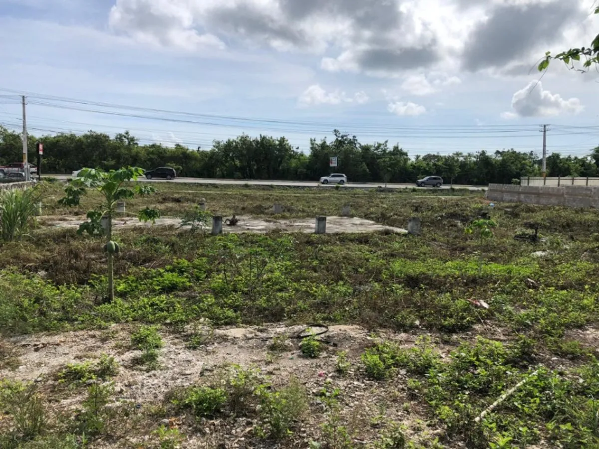 Grundstück in Punta Cana, Bávaro, 4501 m², Foto 4