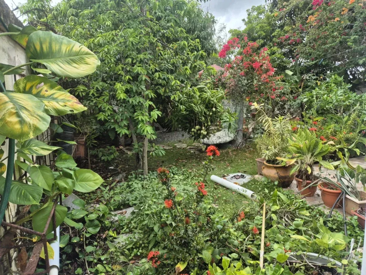 Haus in Punta Cana, Bávaro, Foto 13