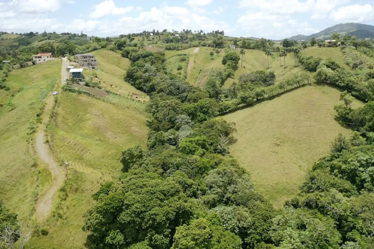 Terrain en vente à Crucero, Jarabacoa, photo 4