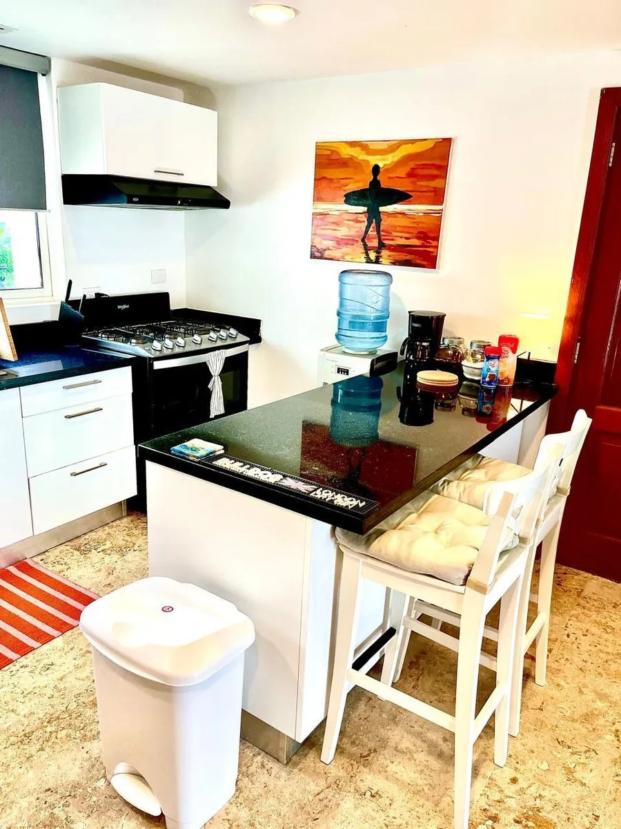 Penthouse in Punta Cana near Zoho Beach Club, photo 4