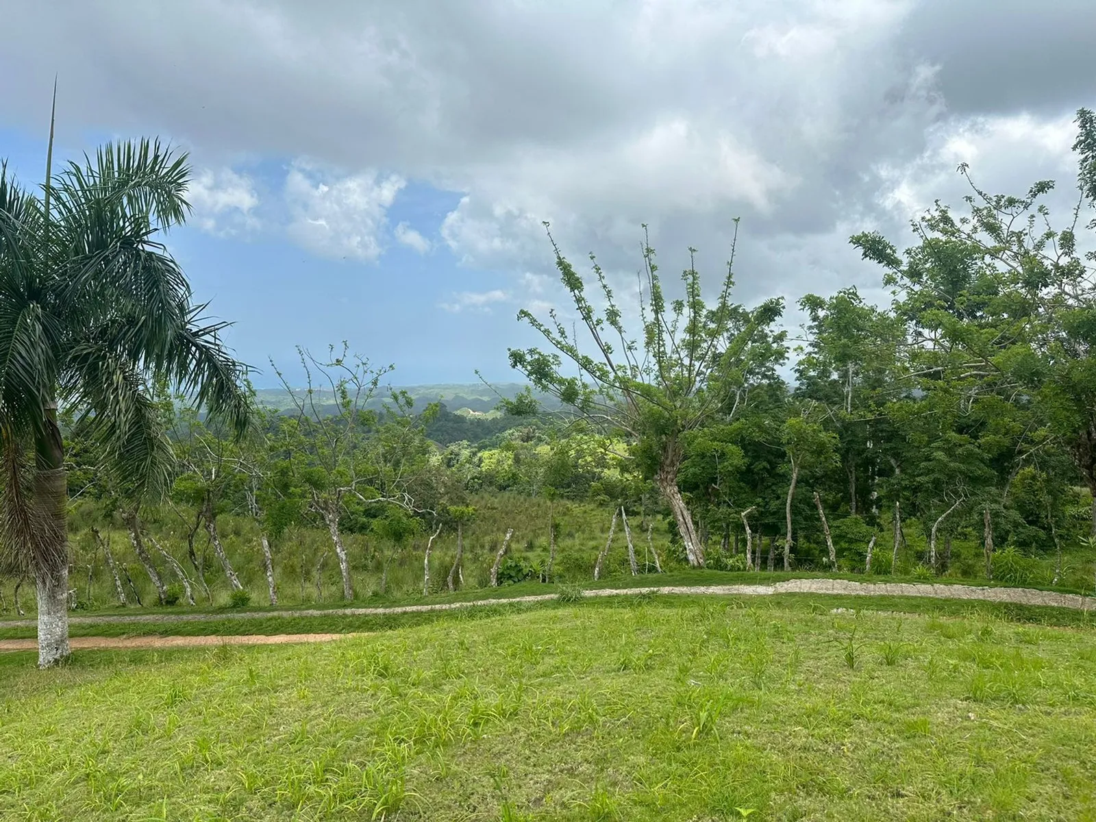 Terrain à Los Puentes, Las Terrenas Samana, photo 4