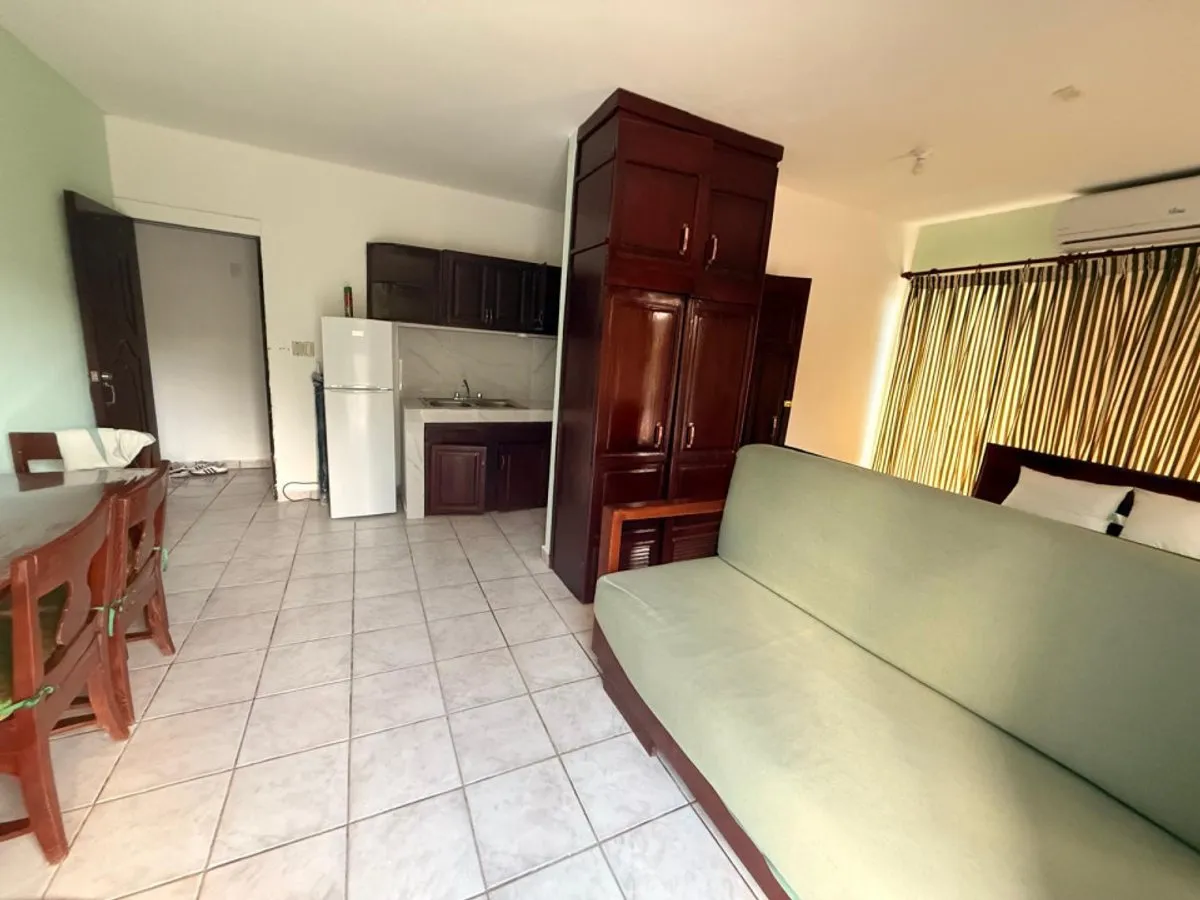 Furnished apartment in Playa Juan Dolio, photo 9