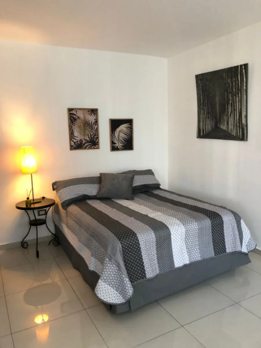 APPARTEMENT EN VENTE 1 CHAMBRE PIANTINI SANTO D, photo 5