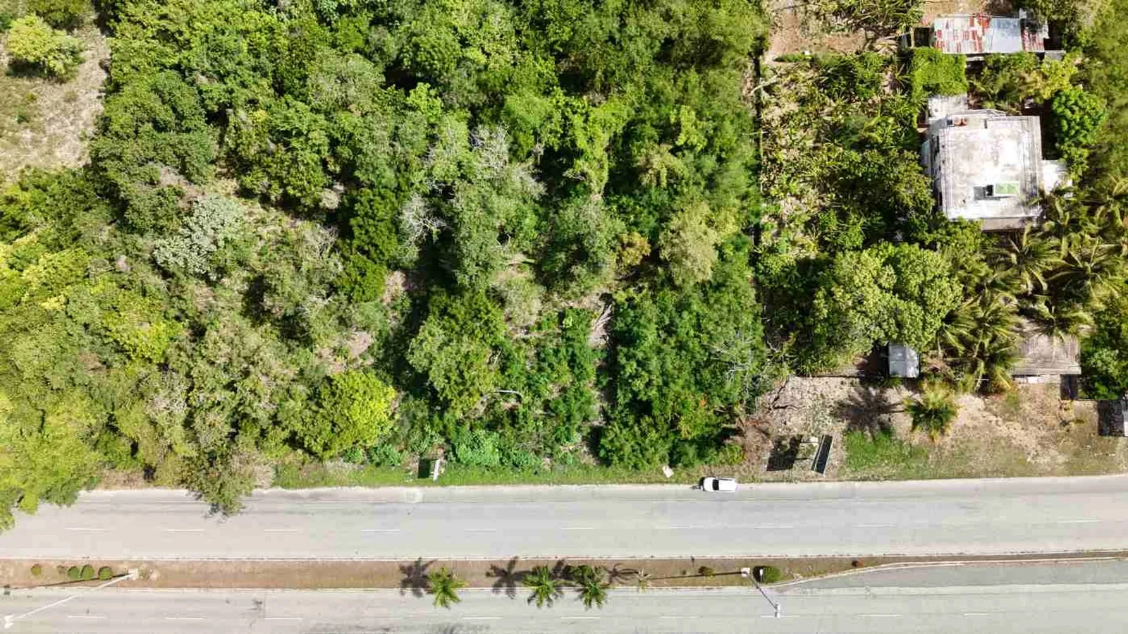 TERRAIN À VENDRE BOULEVARD DE JUAN DOLIO GUAYACANES, photo 4