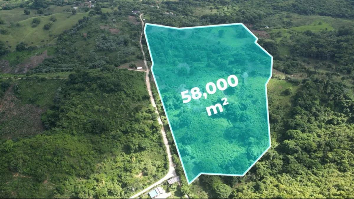 Terreno en venta en Las Terrenas, foto 2