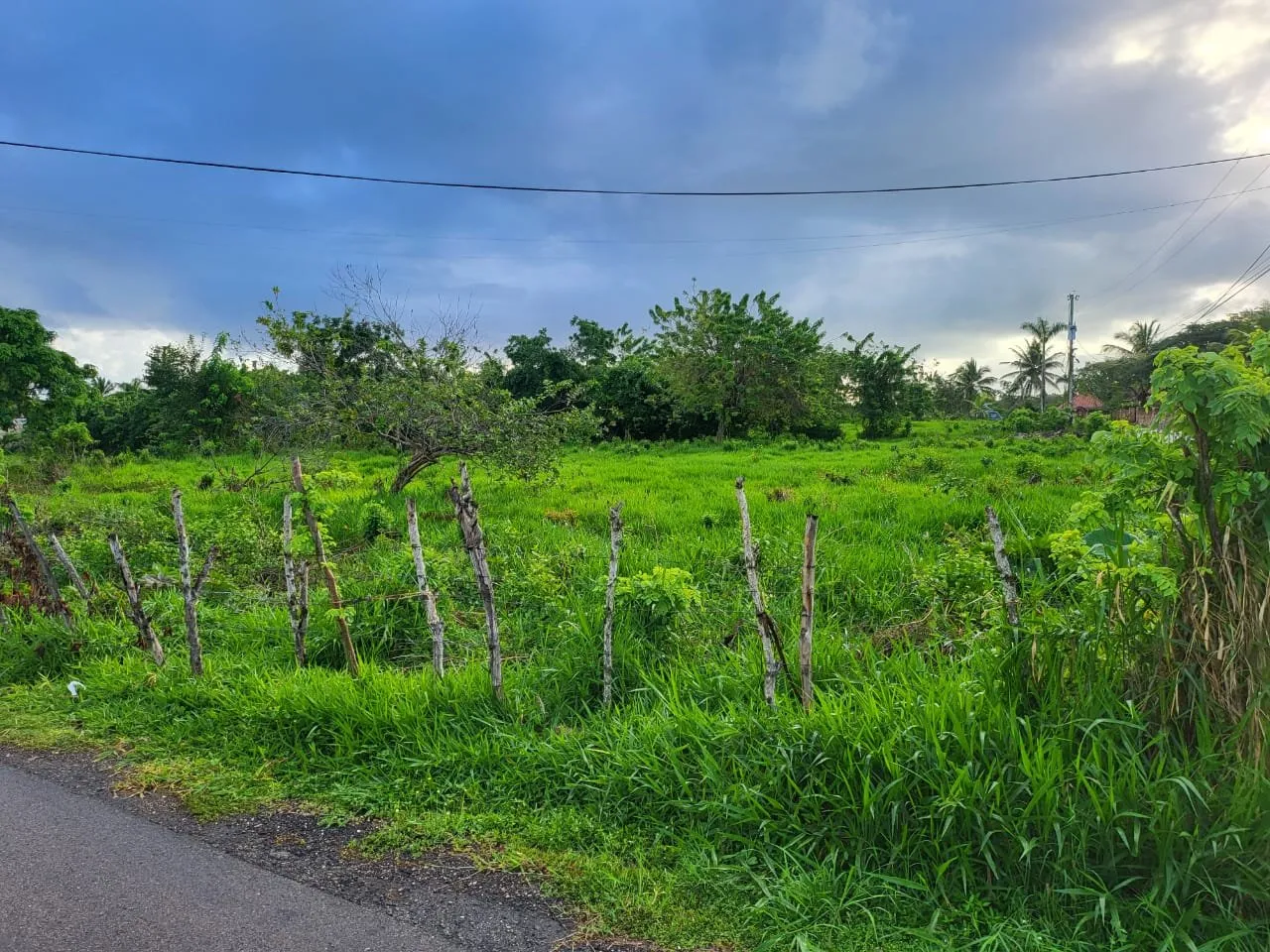 Land in Sosúa, photo 2