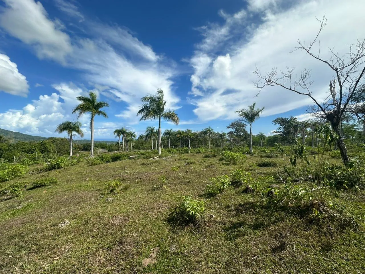 Terreno a El Cupey, Puerto Plata – Vista sul Mare e sulla Montagna, foto 5