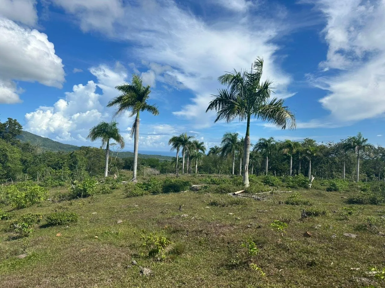 Terreno a El Cupey, Puerto Plata – Vista sul Mare e sulla Montagna, foto 8