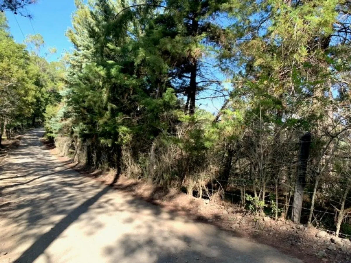 Land in Jarabacoa, Jarabacoa, photo 3