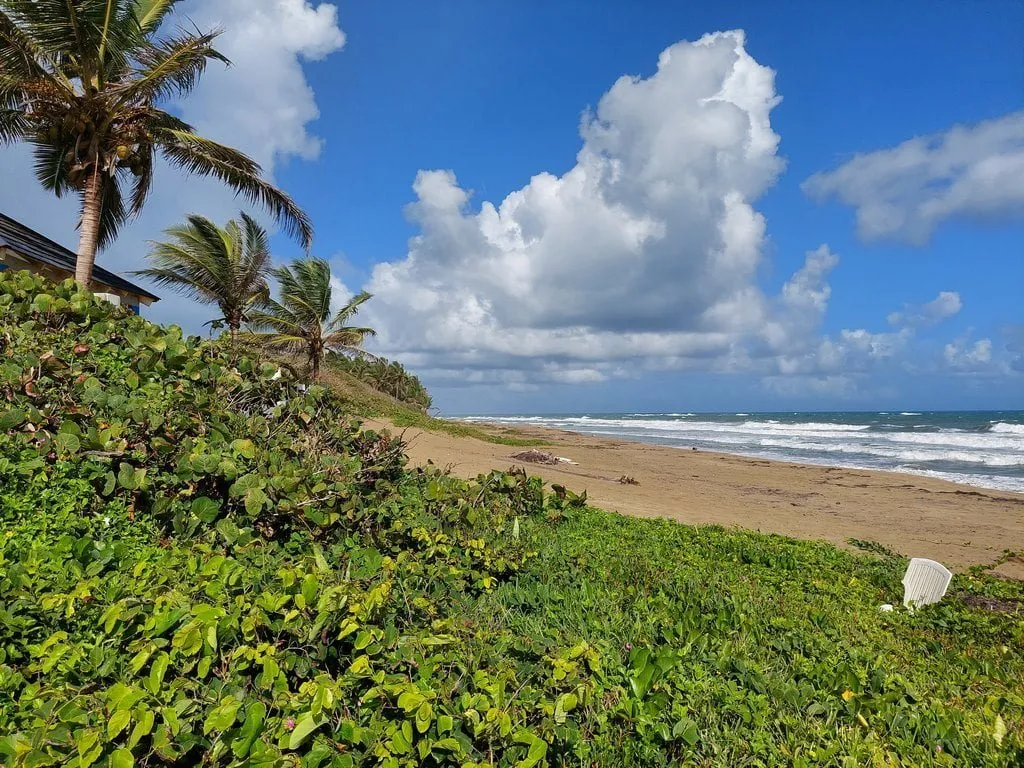 TERRAZZA IN ZONA ESCLUSIVA FRONTE MARE – CABARETE, foto 5