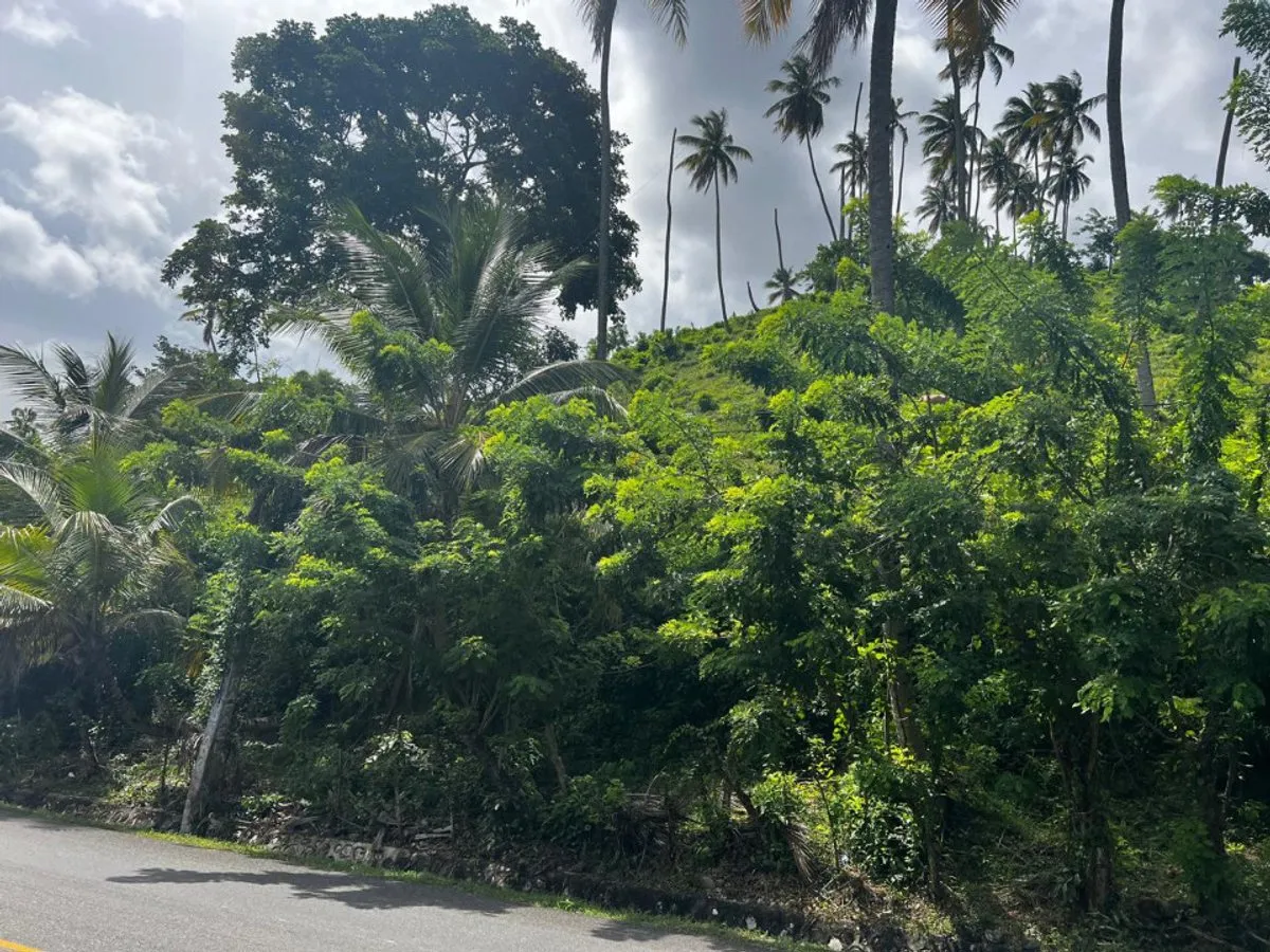 Grundstück in Samaná, Sektor Honduras, Foto 5