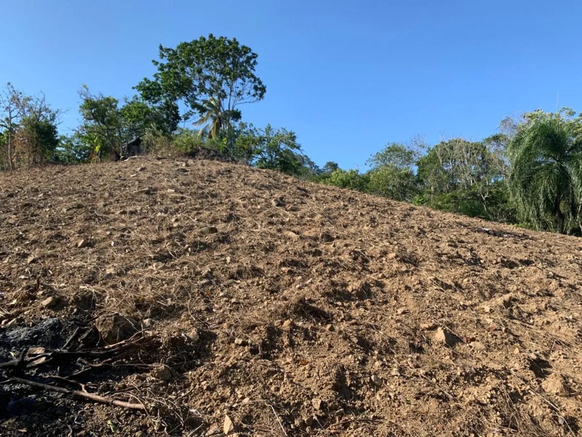 Terreno in vendita a Buena Vista,, foto 8