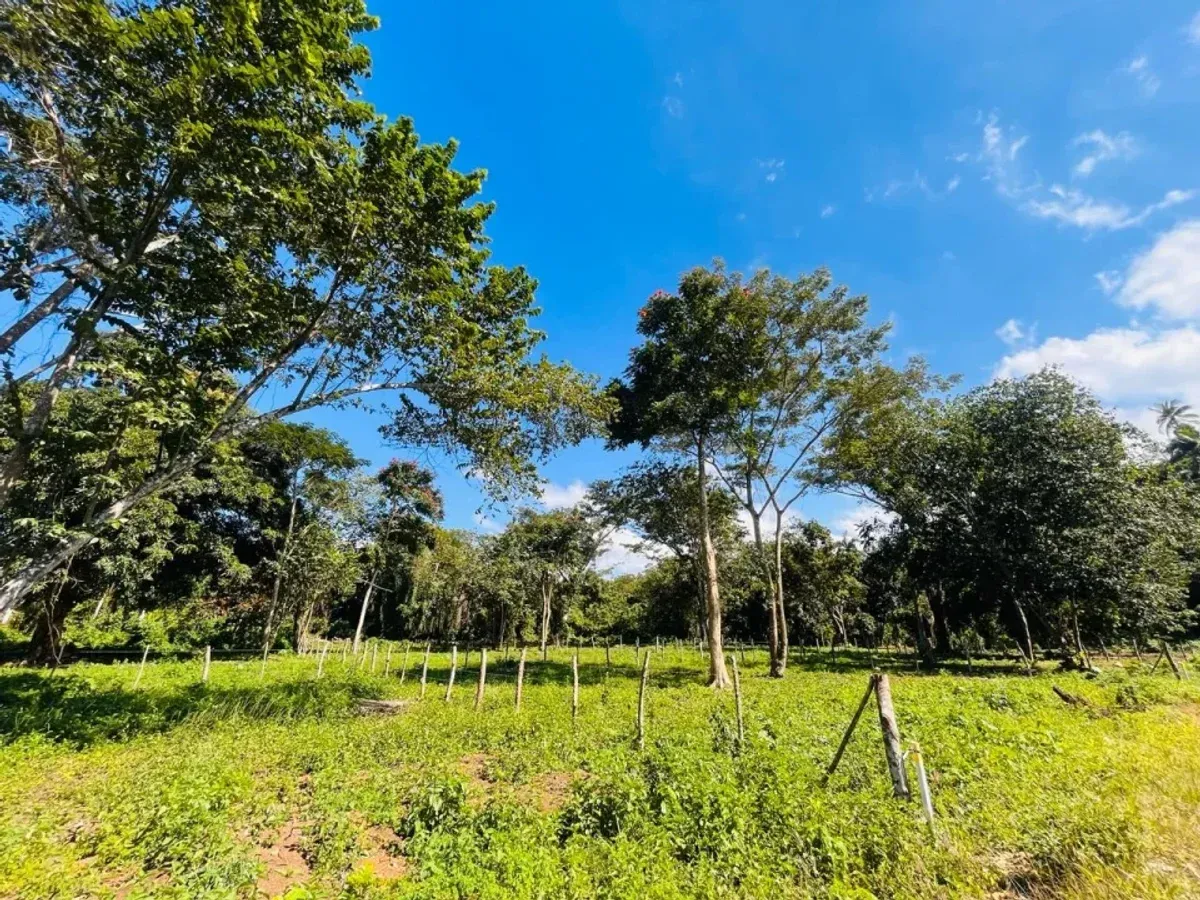 Grundstück in Santa Bárbara, Samaná, Foto 4