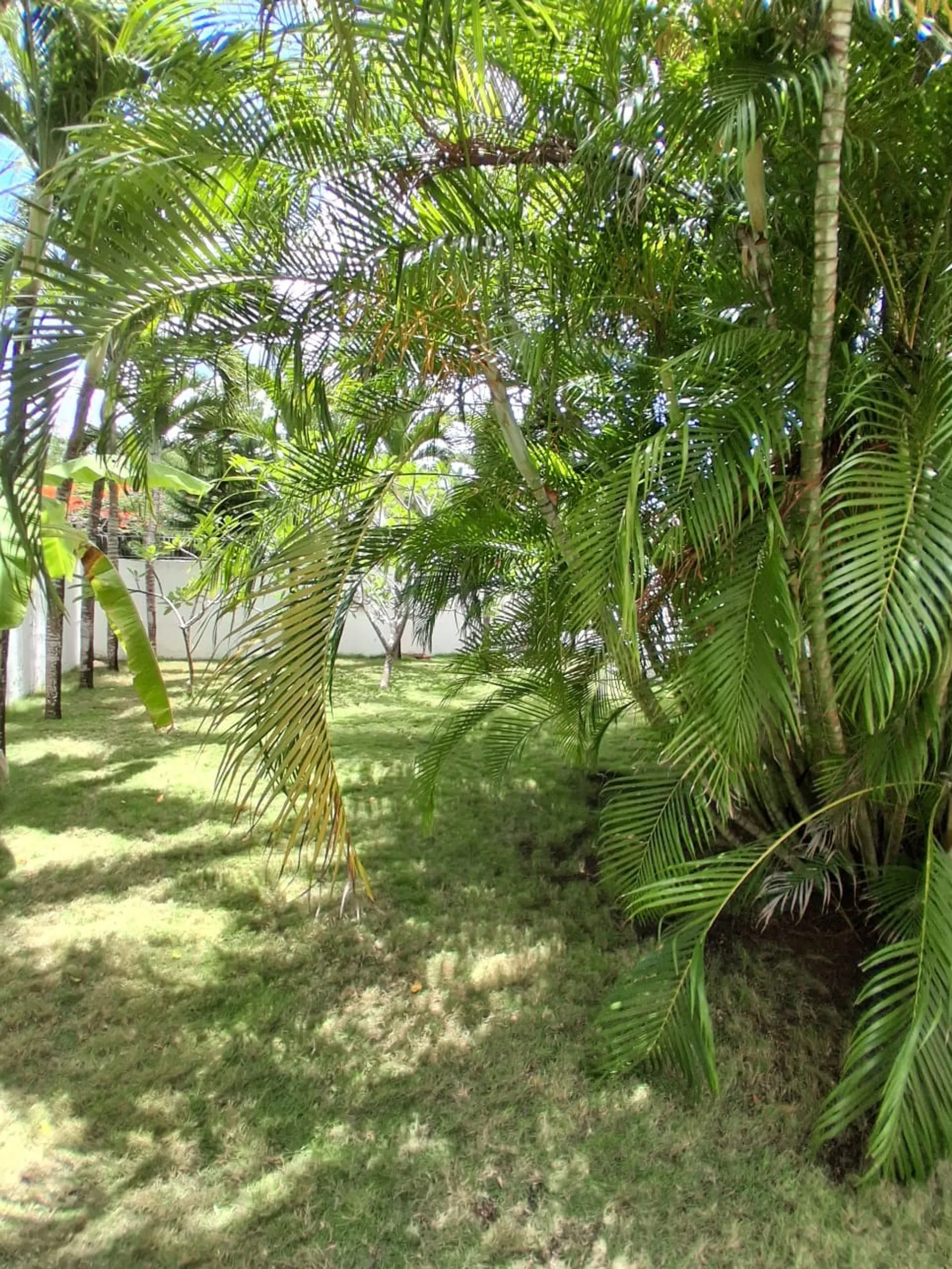 Tu oasis privado con piscina, Juan dolio guayacane, foto 12