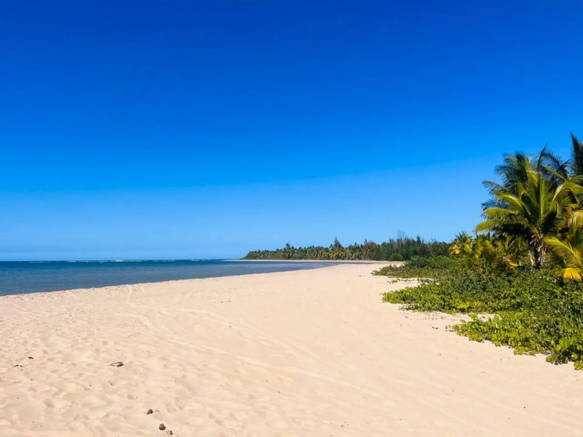 Grundstück in Santa Bárbara, Samaná, Hauptfoto
