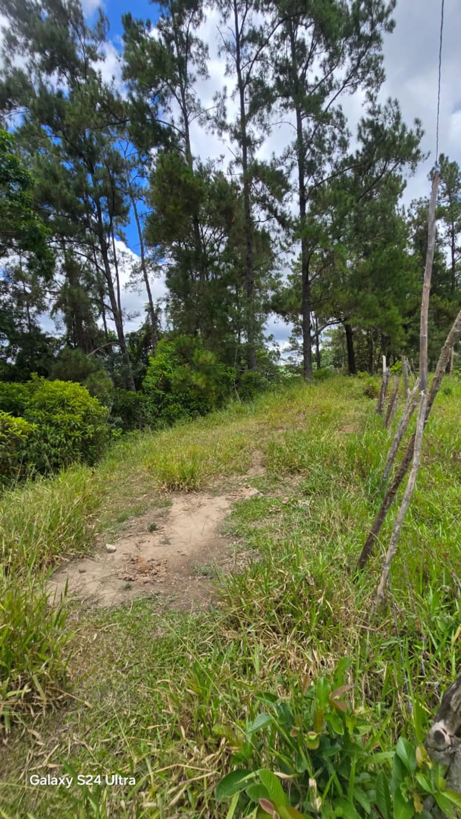 Terreno en Jarabacoa, foto 12