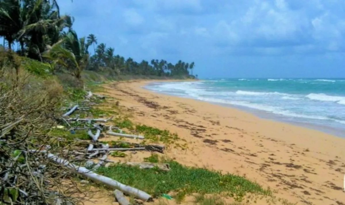 TERRENO EN VENTA 6,288 M² MACAO PUNTA CANA LA ALTA, foto 2