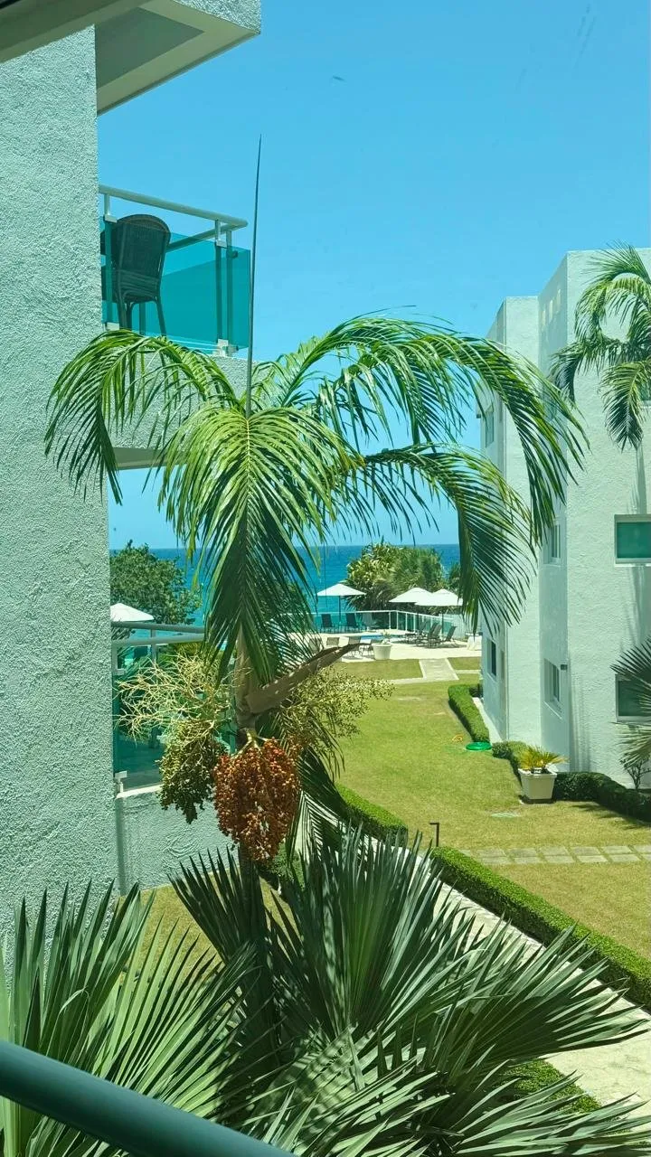 Apartment in Playa Laguna Sosúa with Ocean View, photo 11