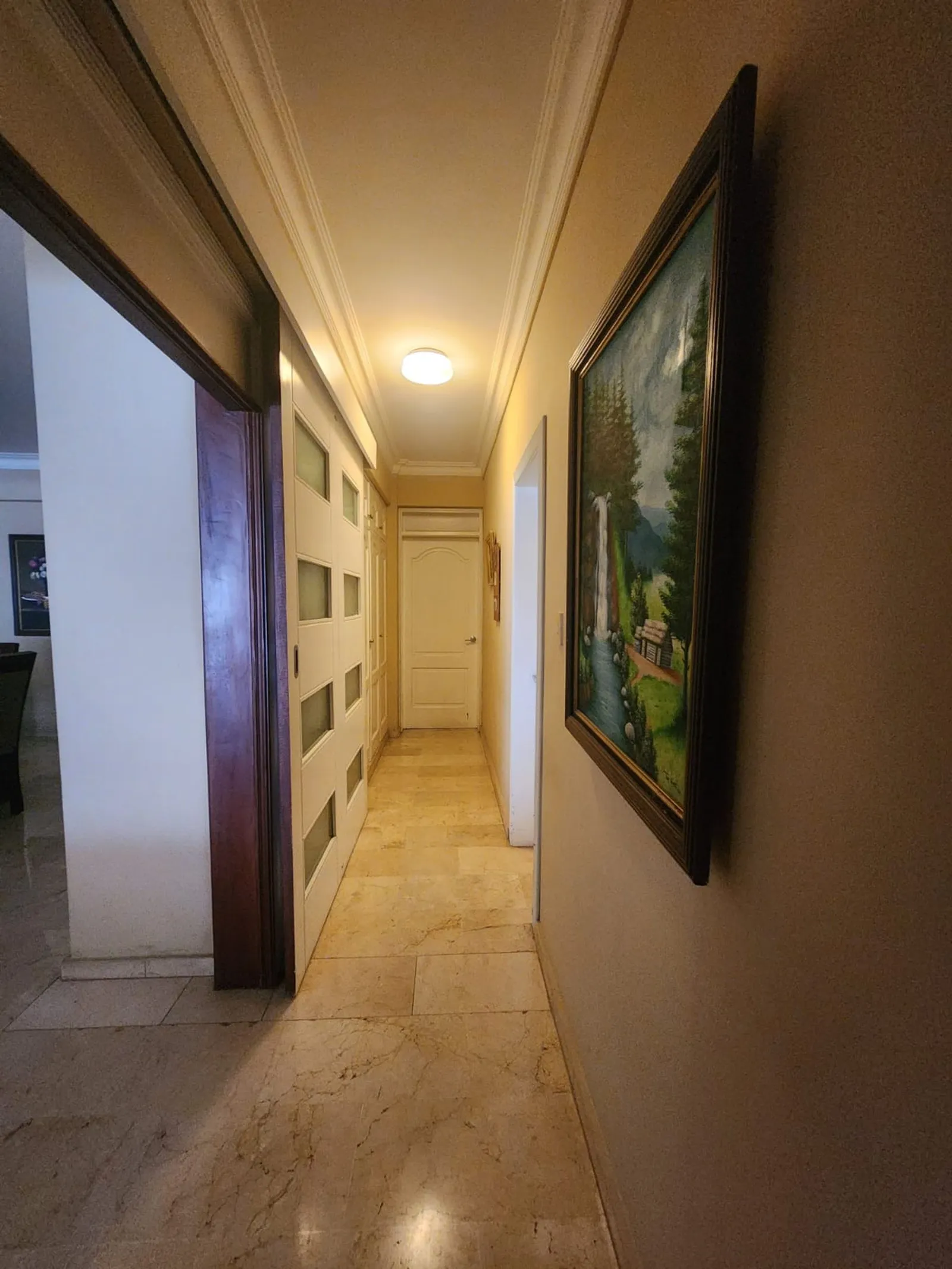 Apartment for sale in Naco, photo 6