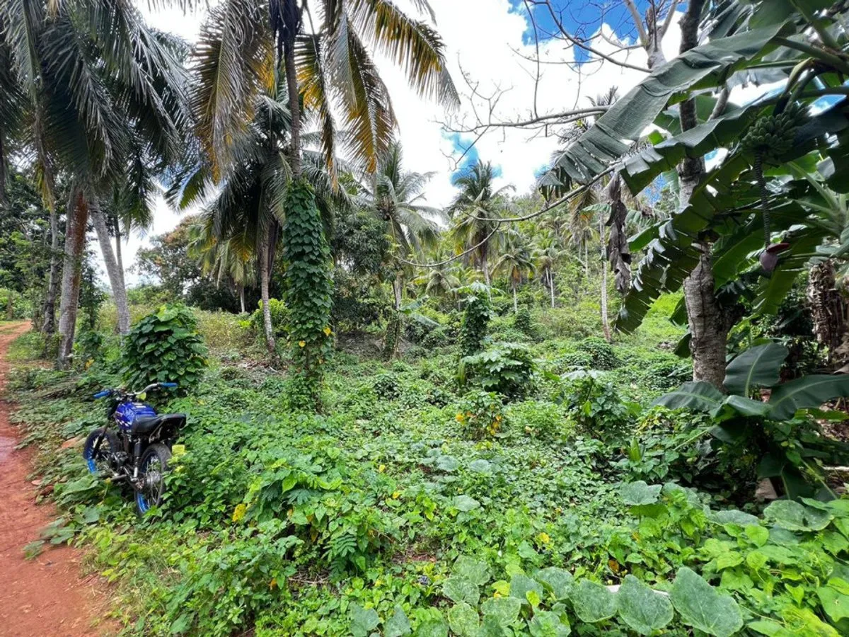 Land in Rincón, Samaná, photo 2