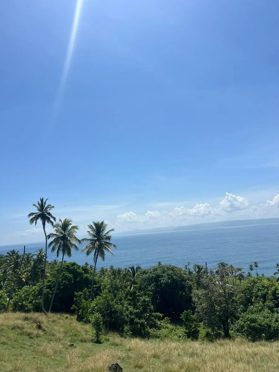 Terreno en Carretera Samaná - Las Galeras, foto 5