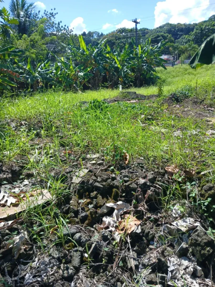 Land for sale in Cabrera, Abreu, photo 4
