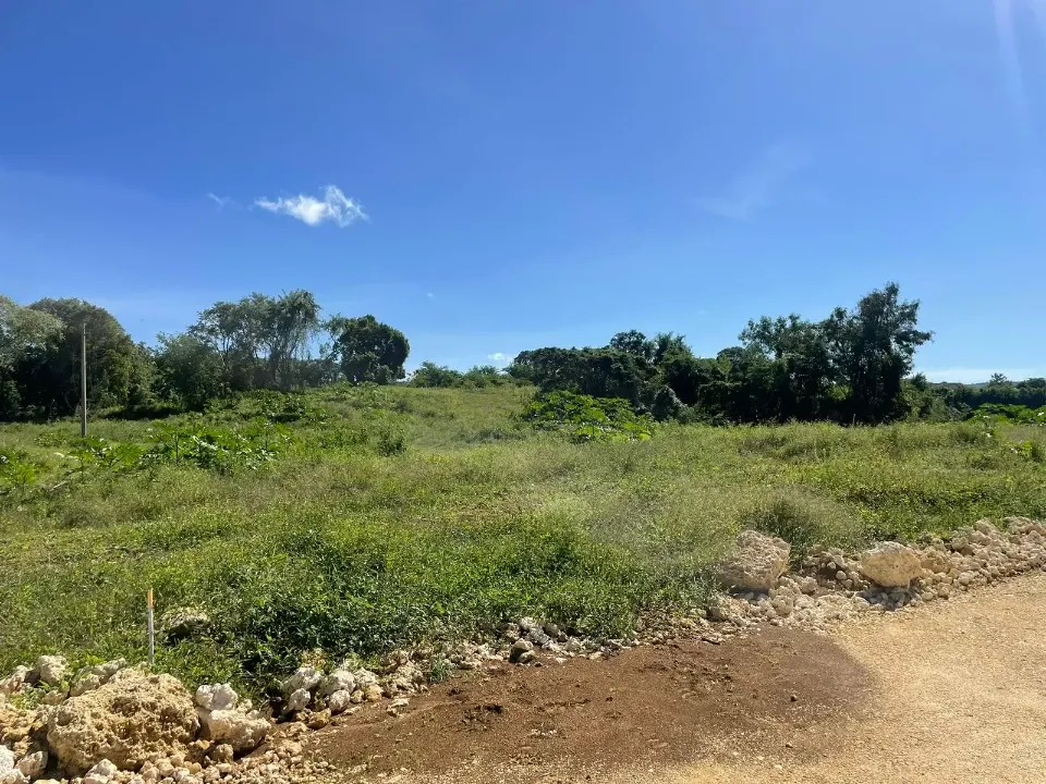 Land in EL CHOCO SOSÚA, photo 3