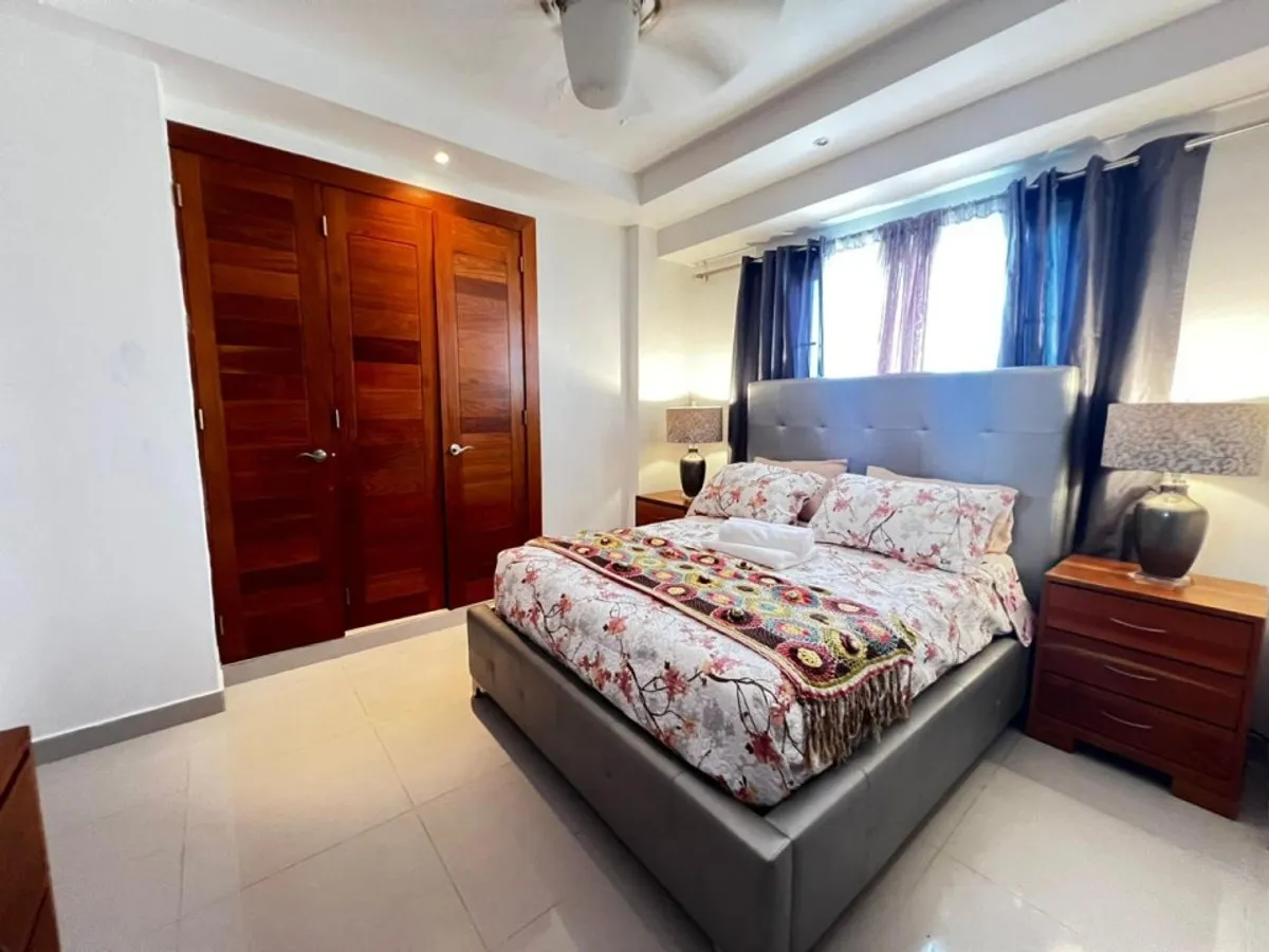Luxury Penthouse in Santiago, La Esmeralda, photo 6