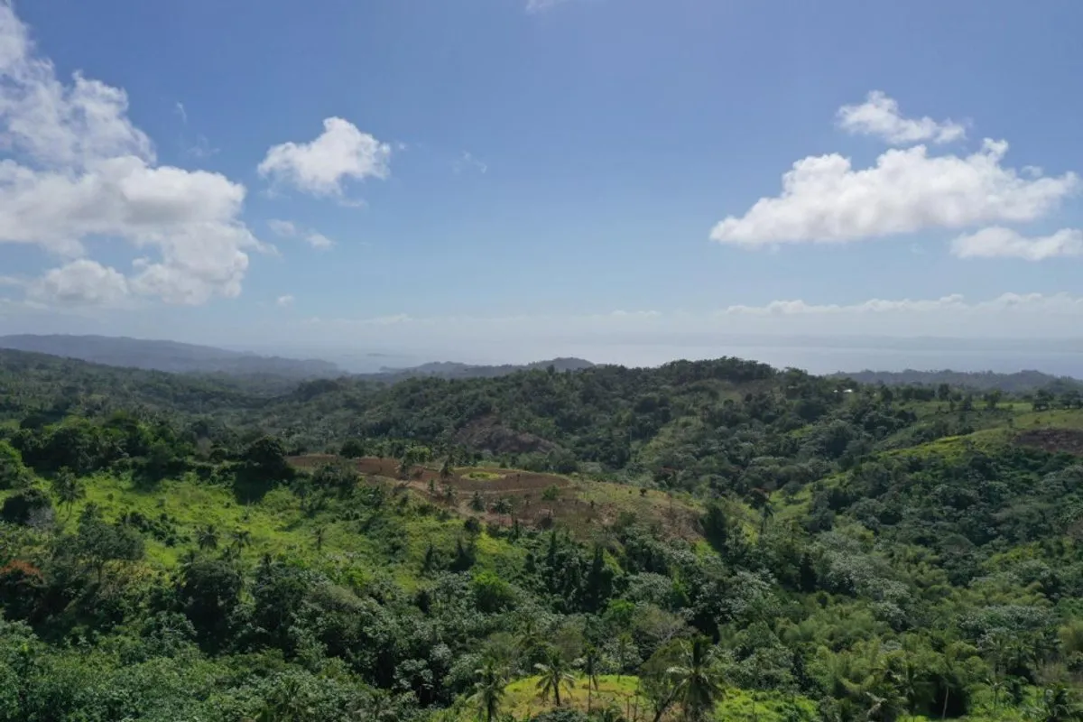 Terreno en Samaná, Juana Vicenta, foto 2