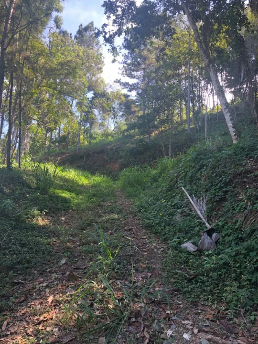 Venta de Solar en Quintas del Bosque Jarabacoa, foto 4