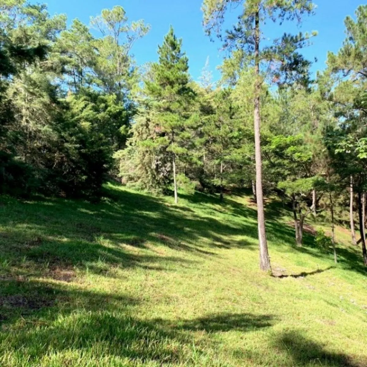Land in Jarabacoa, Jarabacoa, photo 2