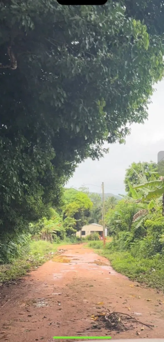Grundstück in Las Galeras, Samaná, Foto 2