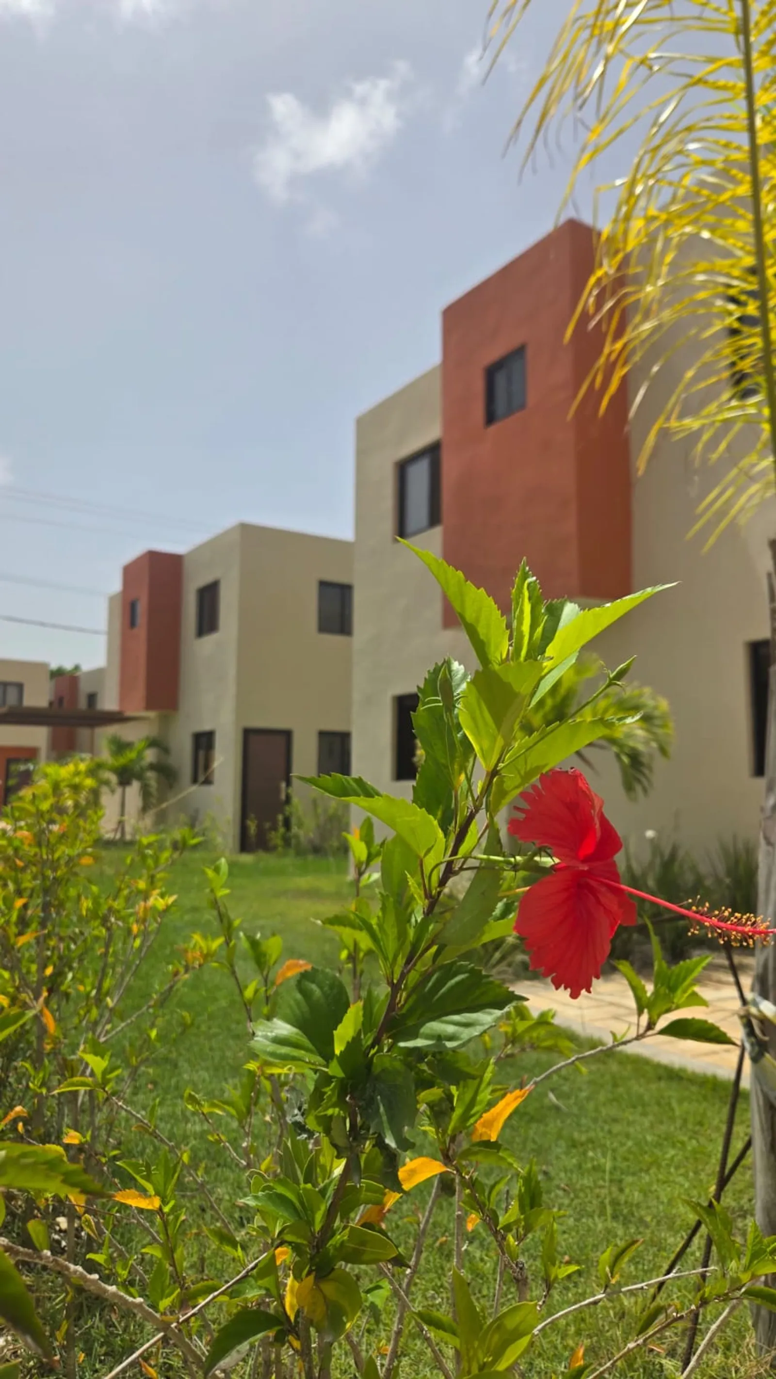 Townhouses en Punta Cana a 5 min de Playa Macao, photo 10