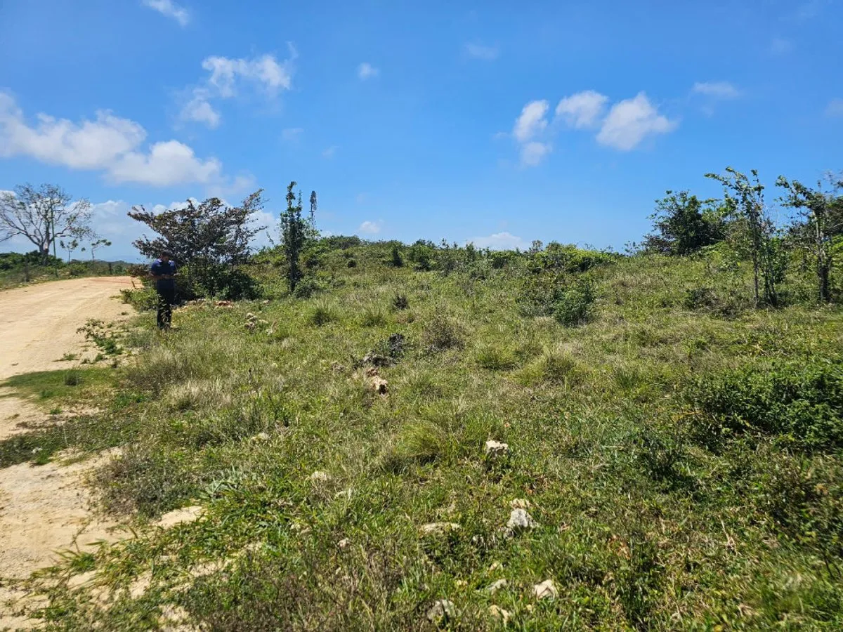 Terrain à CABARETE SOSÚA, photo 5