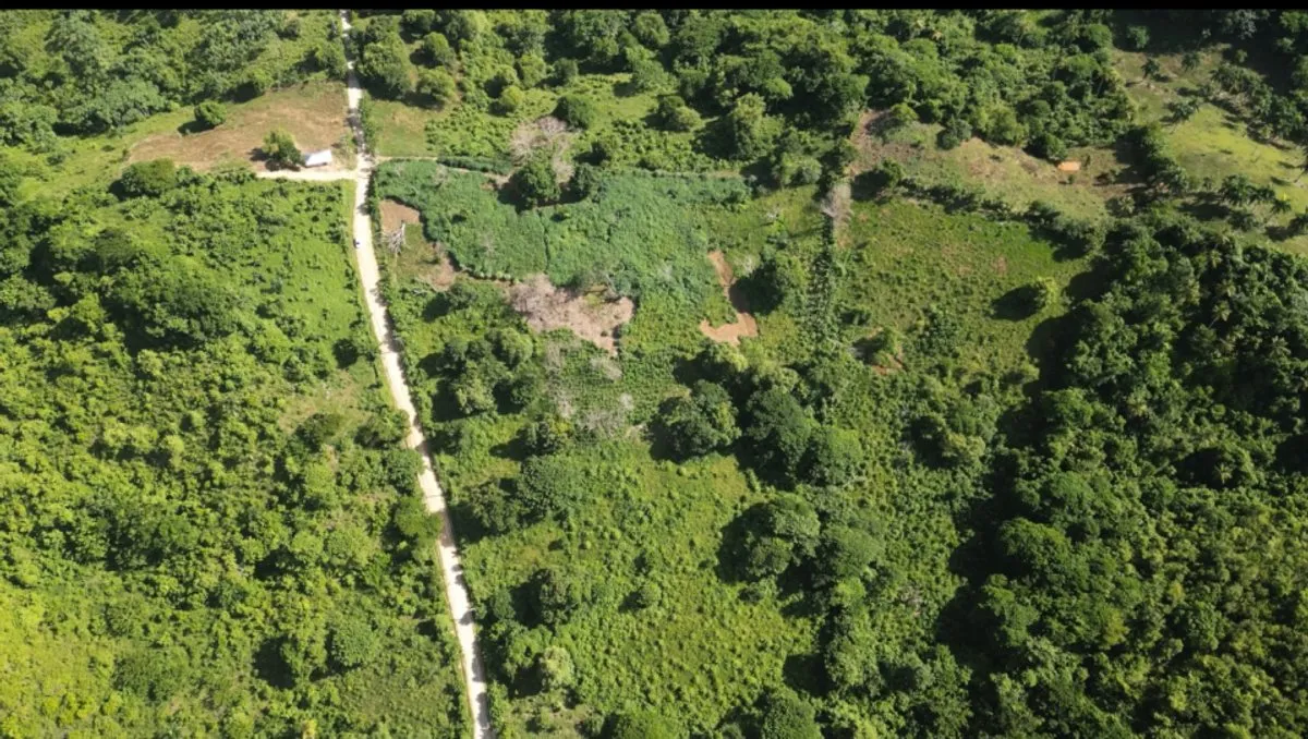Terreno en venta en Las Terrenas, foto 5