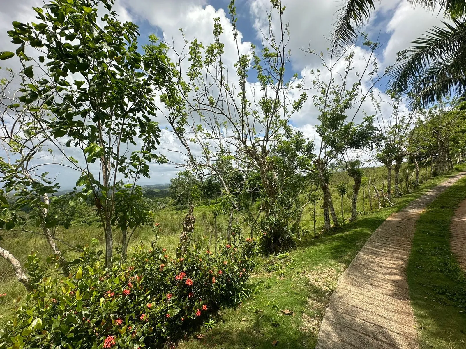 Terrain à Los Puentes, Las Terrenas Samana, photo 12