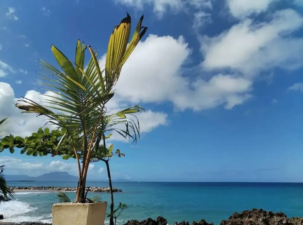 Appartement à Sosúa : Vivez à deux pas de la mer dans un cadre exclusif., photo 10