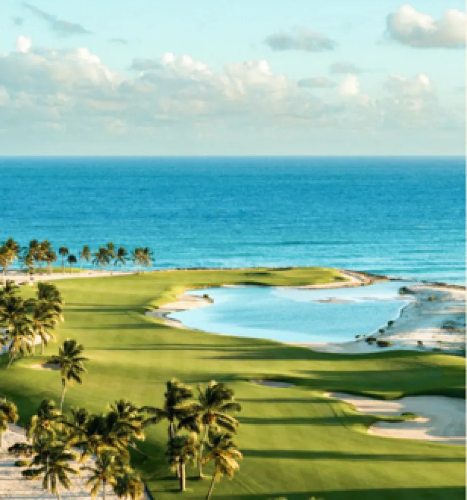 Proyecto en Hard Rock golf club Cana Bay, foto 9