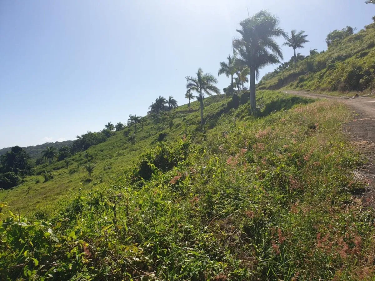 Terreno en Loma de Cabrera, Los Candelones, foto 7