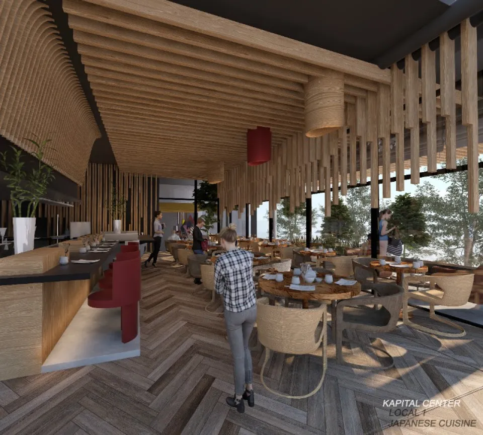 Proyecto en RENACIMIENTO, foto 6