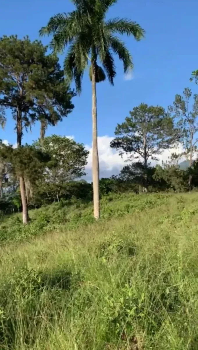 Grundstück Jarabacoa, Foto 3