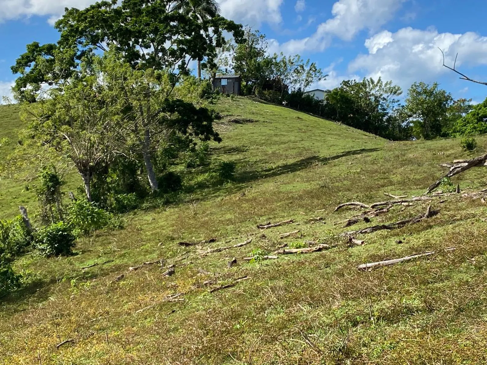 Terrain de 6 287 m² à Urb. Aurora | Rio San Juan, photo 5
