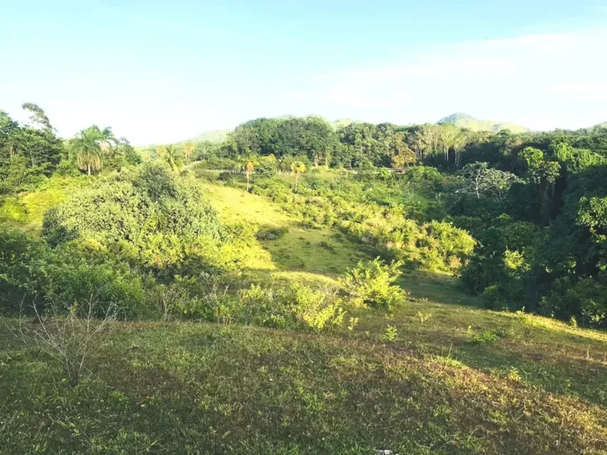 Terrain à Samaná Las Terrenas, Los Puentes, photo 14