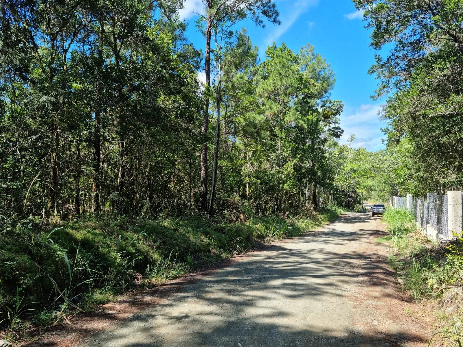 Opportunité Exceptionnelle d'Investissement dans un Terrain à Jarabacoa, photo 8