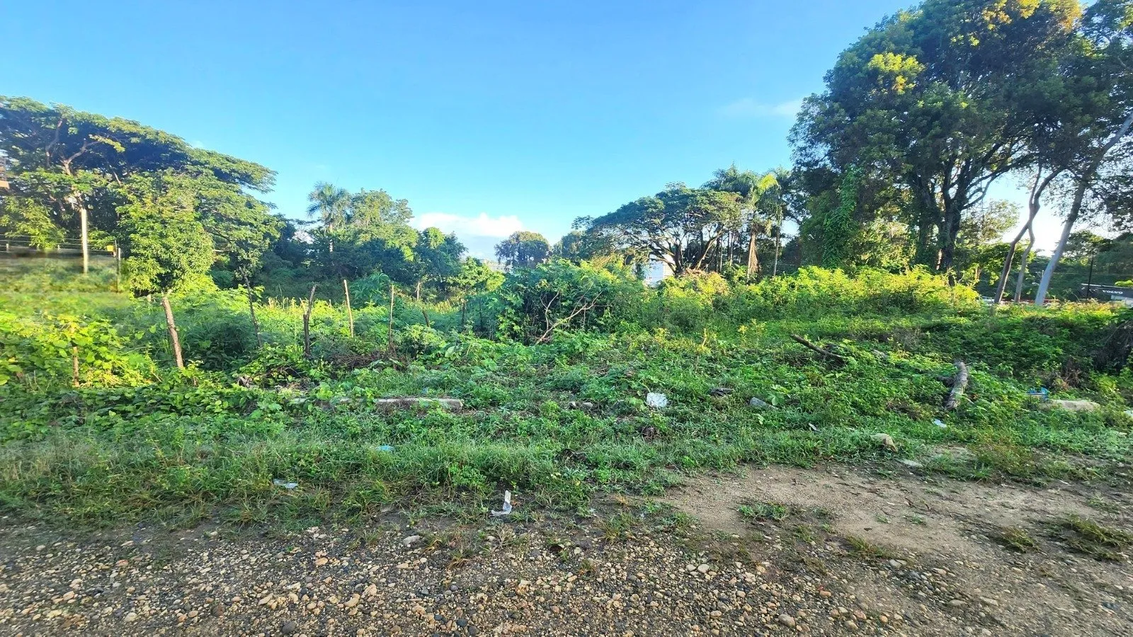 Invest in La Mulata: Available Lots with Great Potential, photo 2