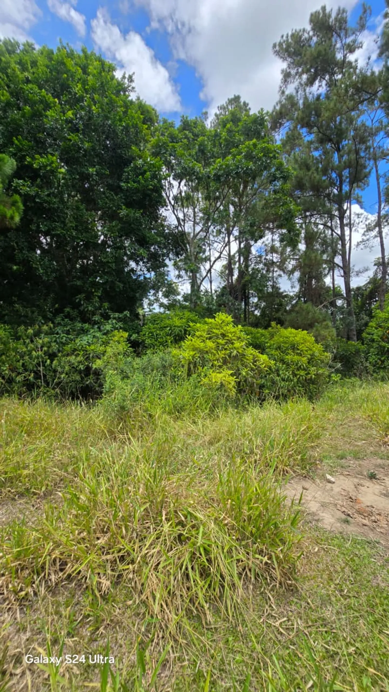Terreno en Jarabacoa, foto 13