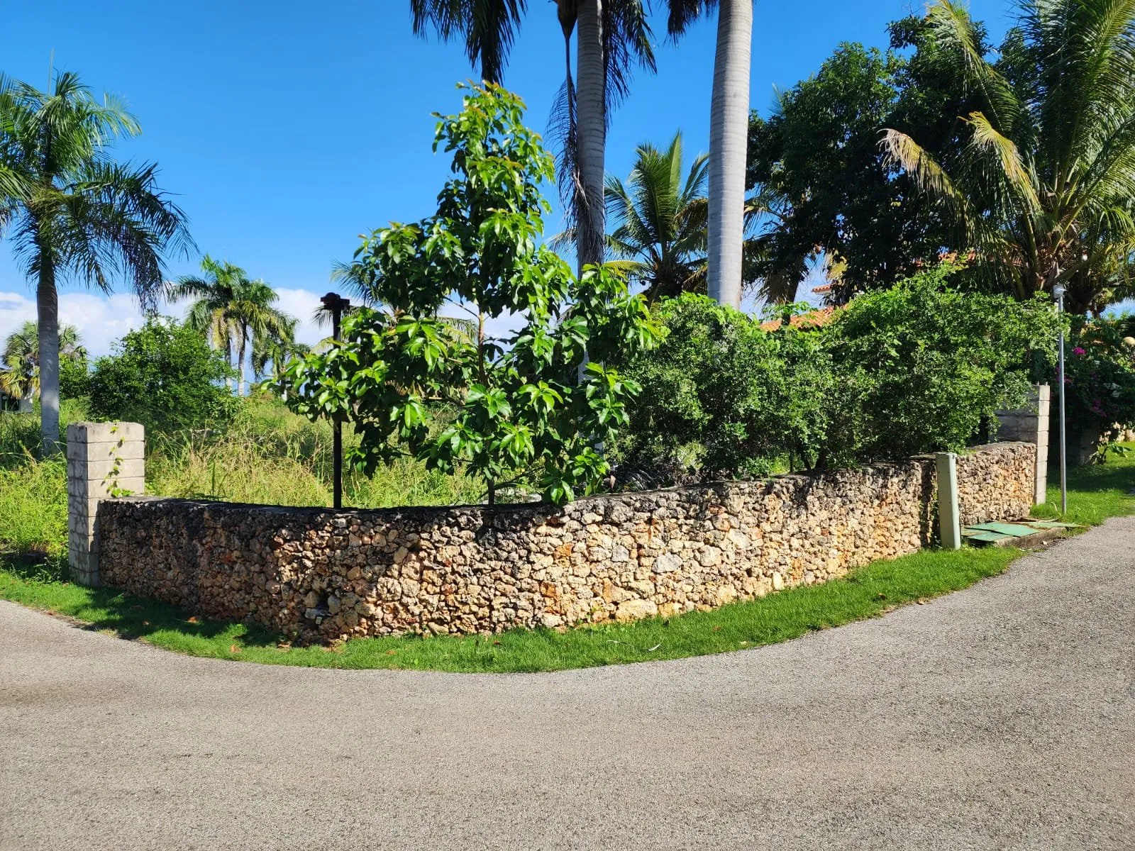 OPPORTUNITÉ DE TERRAIN – À CABARETE, photo 4
